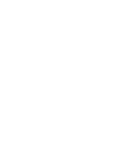 Lisual